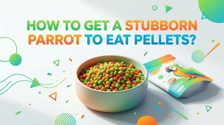 How To Get A Stubborn Parrot To Eat Pellets?