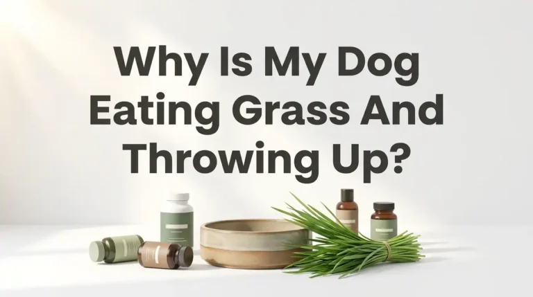 Why Is My Dog Eating Grass And Throwing Up?
